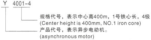 西安泰富西玛Y系列(H355-1000)高压YR6301-6/1250KW三相异步电机型号说明