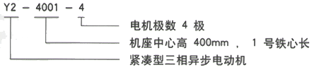 YR系列(H355-1000)高压YR6301-6/1250KW三相异步电机西安西玛电机型号说明